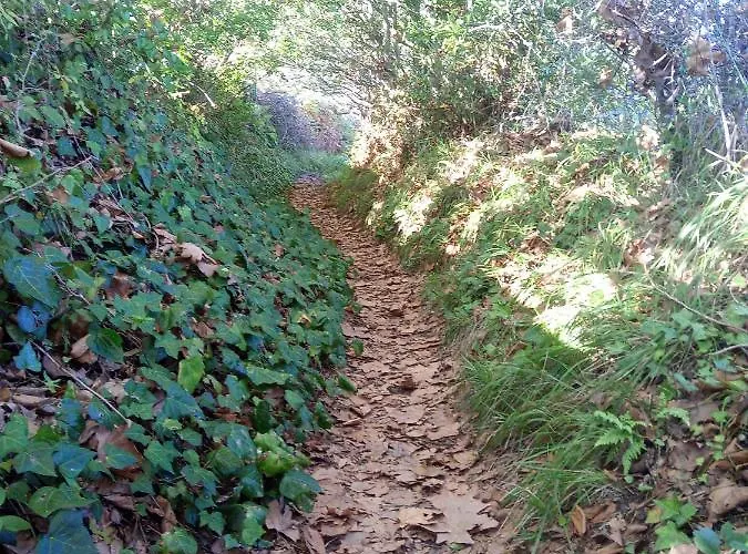 La Casa De Vilanova Кангас